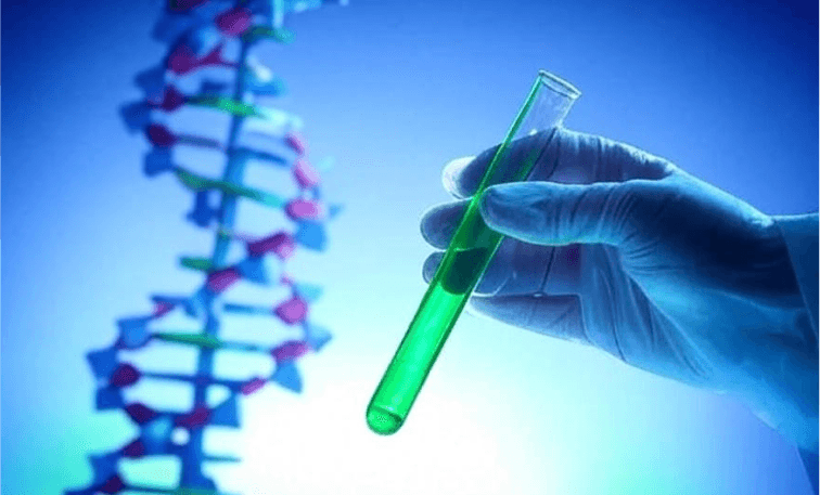 Genetic Consultation