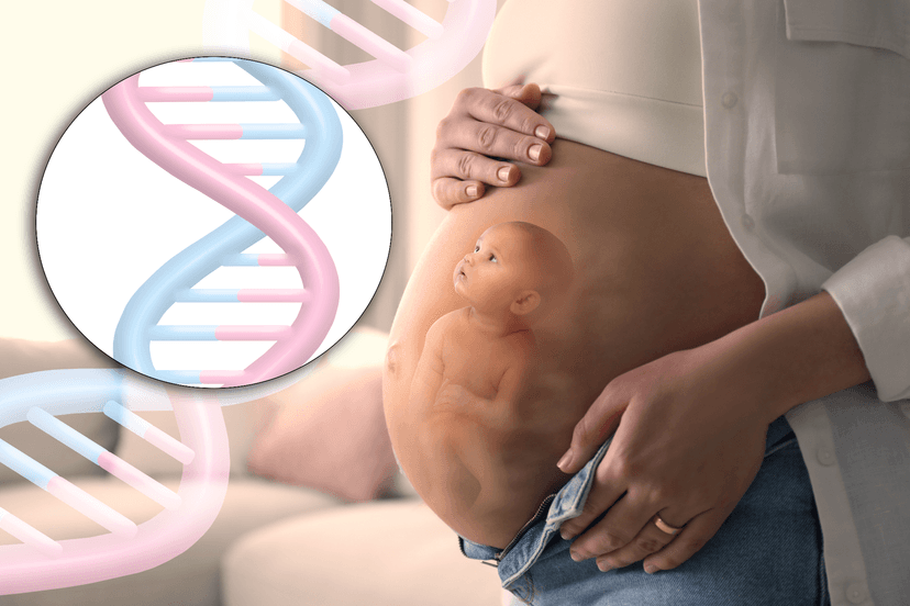 Chorionic Villus Sampling