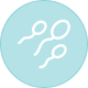 Male fertility icon