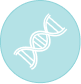 DNA icon