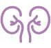 Urology Icon