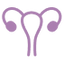 Urology Icon