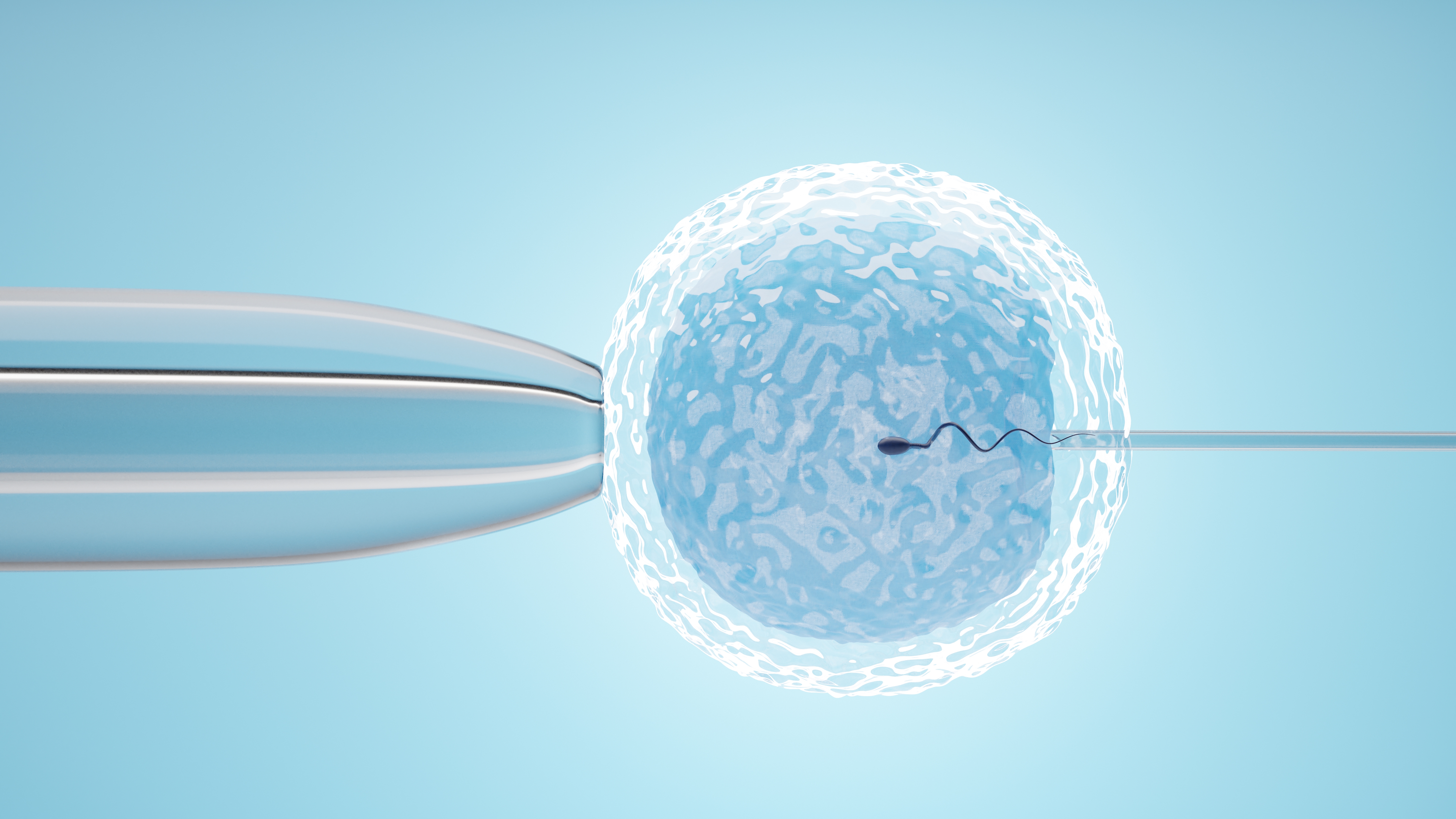 HomeIVF IVF medical procedure visual